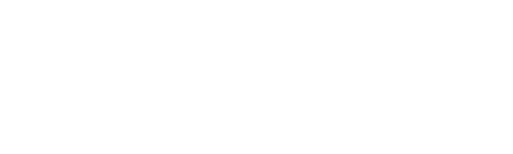 Disguise